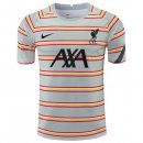 Thailandia Maglia Liverpool Pre Match 2022 Grigio