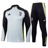 Felpa Allenamento Juventus 2025/26 Grigio
