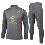 Felpa Allenamento AC Milan 2024/25 Grigio