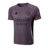 Maglia Formazione Arsenal 2025/26 Porpora Grigio