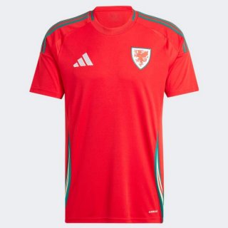 Thailandia Maglia Galles Home 2024 Thailandia Maglia Galles Home 2024